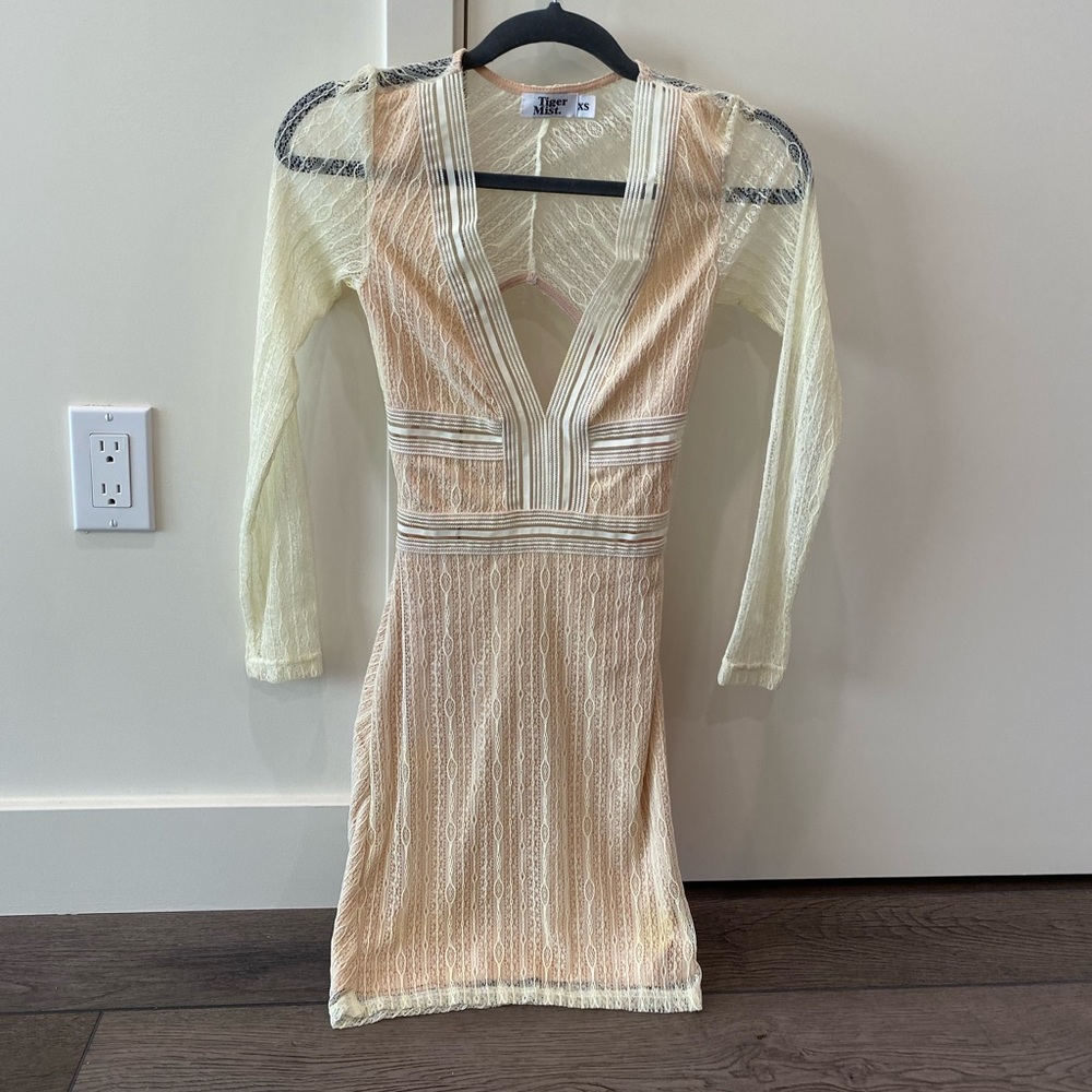 Tiger Mist Lace Bodycon Dress